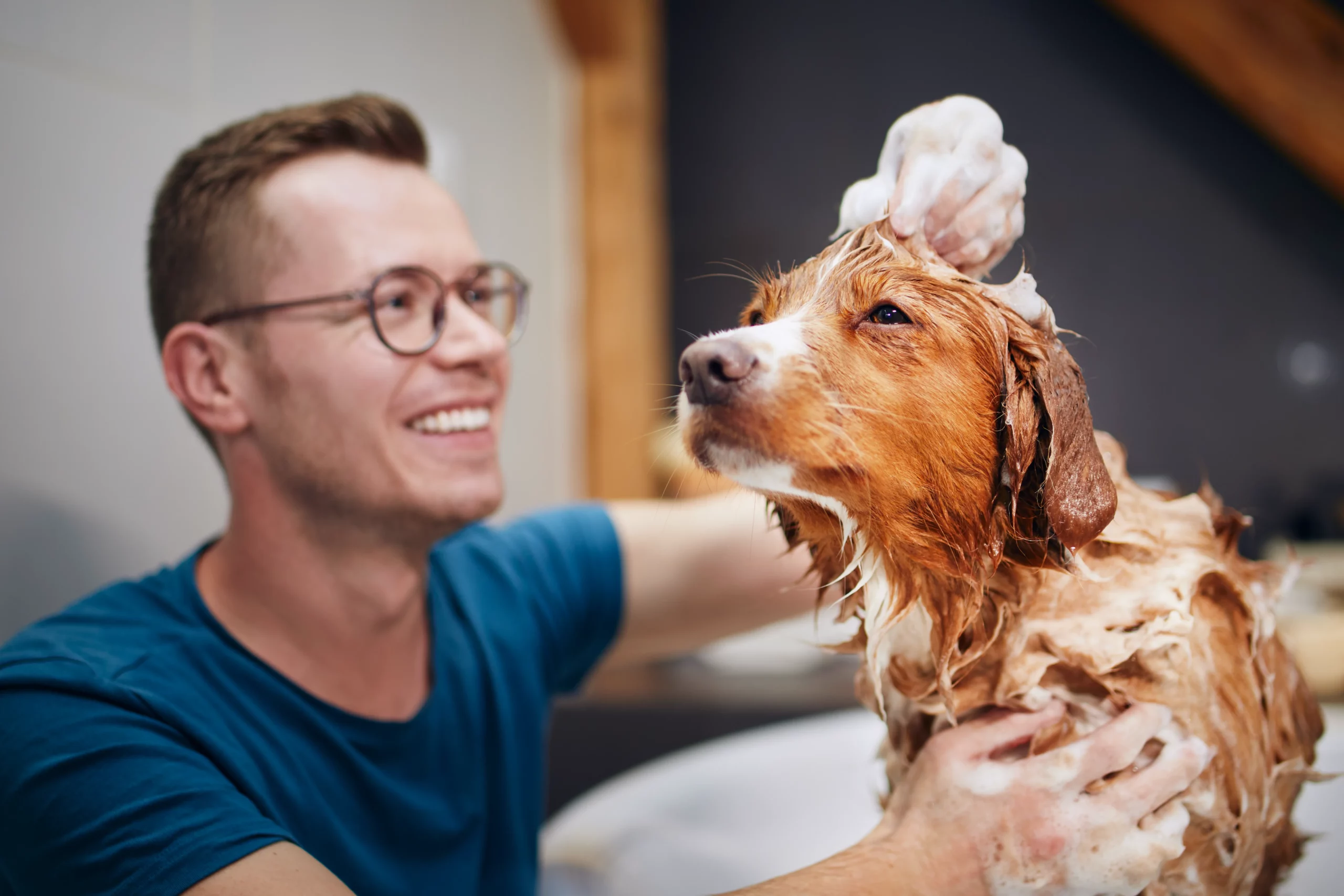 6 Easy Steps For Dog Grooming at Home