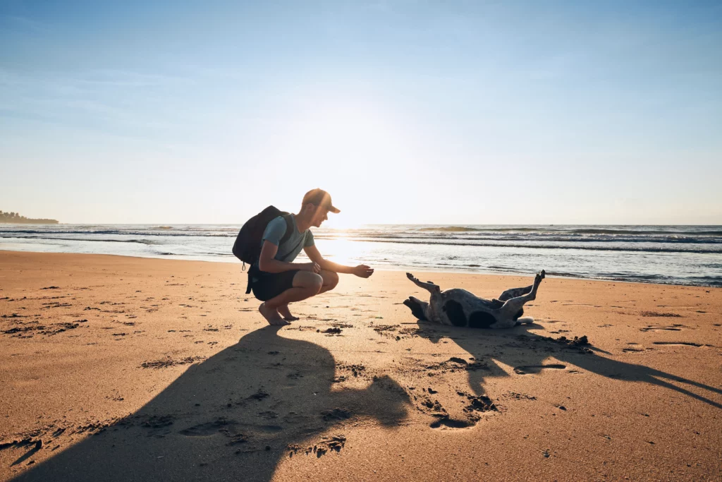 Taking Your Dog to the Beach: 4 Easy Tips You Should Follow