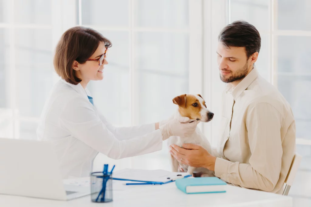 Shocking Dermatitis Alert: 6 Environmental Allergies in Dogs